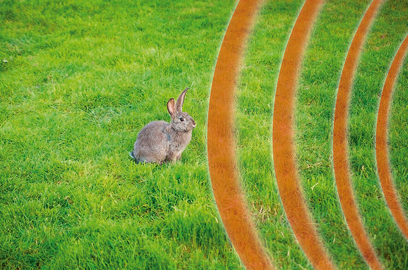 Ahuyentador animales jardín