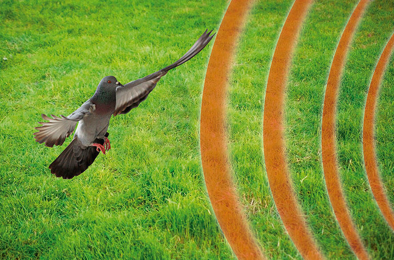 Ahuyentador animales jardín
