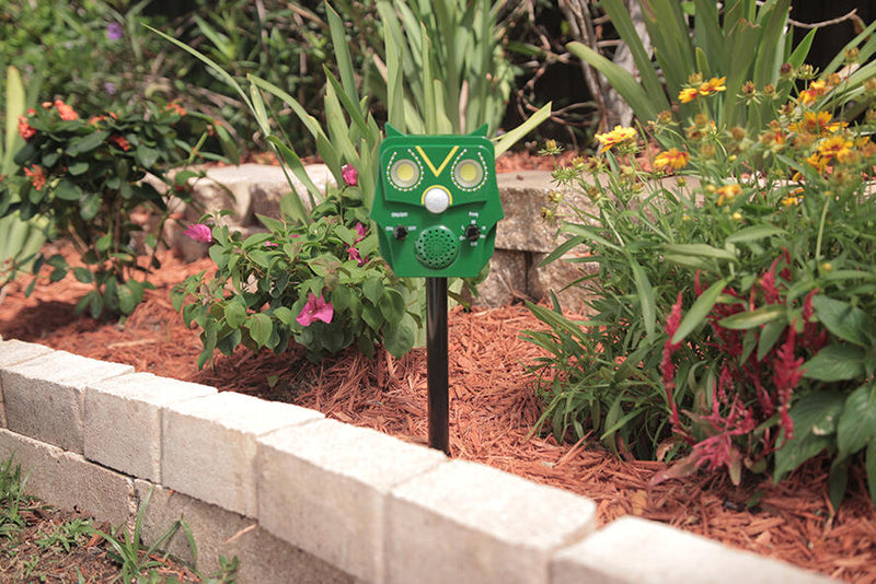 Ahuyentador animales jardín